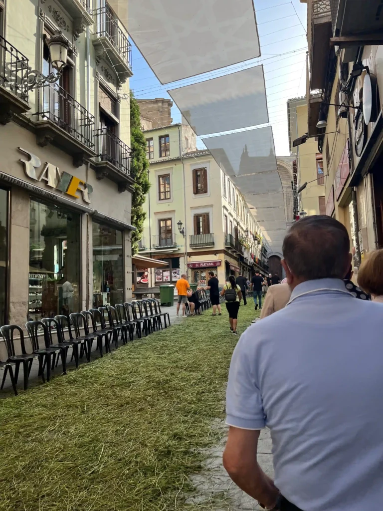 Rue face à la cathédrale de Grenade tapissée de jonc et d'herbes